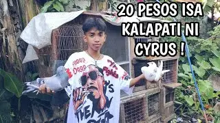 KALAPATI NI CYRUS BENTE PESOS LANG!