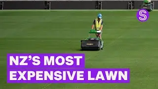 New Zealand&rsquo;s most expensive lawn with its own full time doctor on call | Stuff.co.nz
