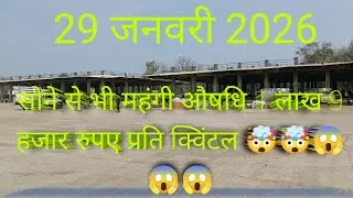 चुकंदर,निम्बू,अनार मौसमी छिलके,सफेद मूसली,सतावरी नीमच मंडी #mandi#mandibhav#मंडी#मंडीभाव#agriculture