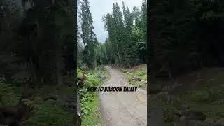 Baboon Valley | Azad Jammu Kashmir | Faisalabad #azadkashmirtourism #mountains #azadkashmirdiaries