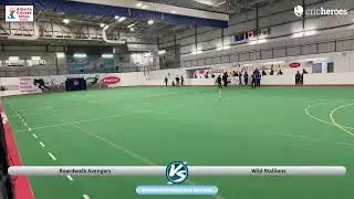 Boardwalk Avengers vs Wild Stallions | CPL Season 3(League Matches) | Live - Edmonton (Alberta) Mi&hellip;