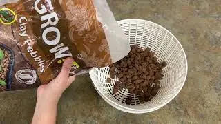 Get a Close Up View of These Grow!T clay pebbles so You Know What You're Getting! Here's my Review.