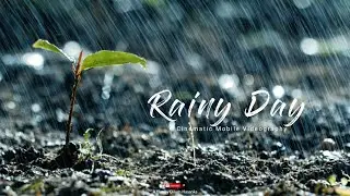 Feel The Nature - Rain Cinematic Mobile Videography | Redmi Note 10 Pro