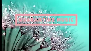 OVERACTIVE MIND AT NIGHT? LISTEN -The Sleeping Prophet by Jesse Gallagher