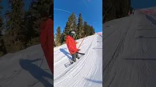 Это Т-образный горнолыжный подъемник.
