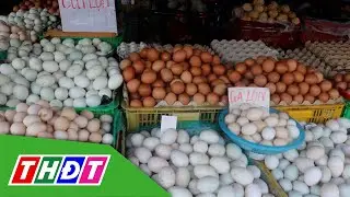 Chicken egg prices increase sharply | THDT