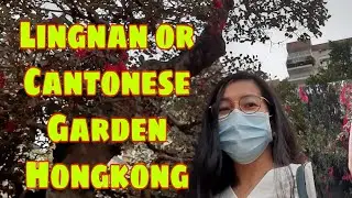 The View At LINGNAN GARDEN|CANTONESE GARDEN|RELAXING|BEAUTIFUL|PART 1#GARDEN#FLOWERS#LINGNAN.