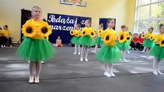 Taniec słoneczników DSC 0113