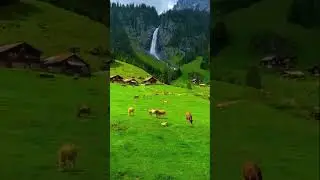 Beautiful places to relax #love #switzerland #travel #animals #subscribers