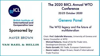 The 2020 BIICL Annual WTO Conference - Geneva panel (Day 1)