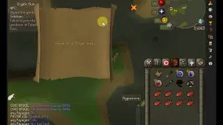 Speak to a Wyse man Clue Scroll OldSchool Runescape [OSRS]