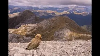 Mount Owen - New Zealand