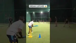 Dream Catches 🔥 Cricket Fielders Take Mind Blowing Catches 🤯 #cricket #shorts #catch