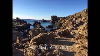 Audioded - Yemen Galbi