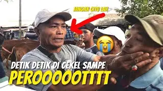 KASI4N❗️Detik-Detik di Cekel Sampe Perot, Nawar Sapi Paksa Akhirnya ini yang Terjadi