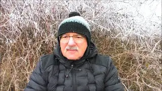 ODSTRZAŁ KORMORANÓW W OKRĘGU PZW W CZĘSTOCHOWIE ZA ZGODĄ DYREKTORA OCHRONY SRODOWISKA W KATOWICACH