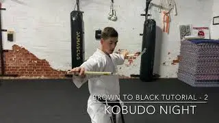 Karate Weapons Training Kama - 2