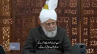 Huzoor (aba) encourages the team to promote the features of the website || Muslims For Peace