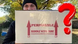 Распаковка, планы разведения и доступные животные‼️