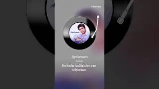 Emrah ayrılamam seslendiren yaşar sevinsel karaoke 