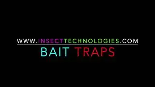 Insect Bait Trap