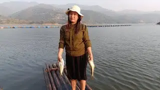 Fishing at Chadong Lake# Chadong Fresh 🐠 🐌🦐# Best picnic spot#