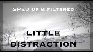 FUN WITH FILTERS: Little Distraction: Sped Up & Filtered 4K
