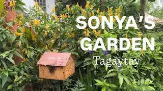 Hidden Paradise in Tagaytay | Sonya&rsquo;s Secret Garden Tour (Bakery, Spa & Buffet!