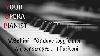 V. Bellini - Ah, per sempre, io ti perdei... // YOUR OPERA PIANIST