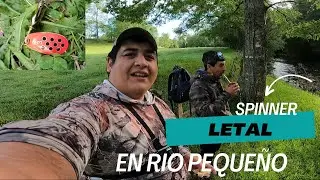 EL SPINNER QUE NUNCA FALLA // PESCA CON DEVOLUCION // TRUCHAS EN EL SUR DE DE CHILE