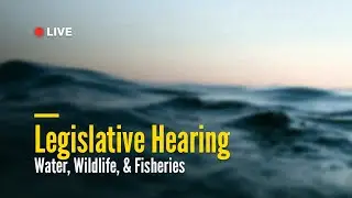 Water, Wildlife and Fisheries Legislative Hearing | November 19, 2025