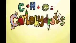 Carbs Catabolism