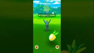 SHINY ENCOUNTER UMBREON POKEMON GO