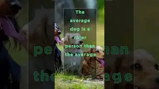 The Average Dog Is A Nicer Person 🐕 #quotes #dogs #shorts