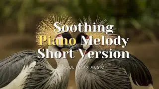 Instrumental Background Melody - sleep stress relief study focus (Hidden Crusade) #shorts 3