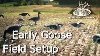 Early Season Goose Field Hunting Decoy Spread / Waterfowl Setup