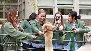 Autumn Term 2025
