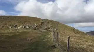 Conor Pass