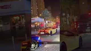 Lamborghini Aventador Roadster @JBR beach walk Dubai. #beach #dubai #lamborghini #lambo #viralvideo