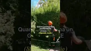 #giardini quanto guadagna un giardiniere al mese?