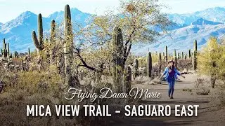 284: Hiking Mica View Trail - Easy & Fun Hike in Saguaro National Park East (Tucson, Arizona)