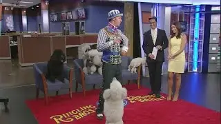 Dog trainer Alex Emelin shows some tricks