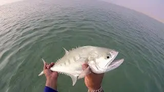 Catch & Release | Shore Jigging in Sealine || Himalayan Anglers