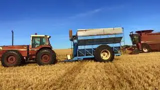 Harvest 2018