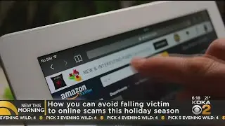 Avoiding Online Shopping Scams