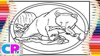 Grizzly Bear Coloring Pages/Grizzly Bear Caught the Fish/Diviners - Savannah/Philly K/NCS Release