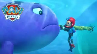 Narwhal Rescue! - PAW Patrol Episode - Cartoons for Kids