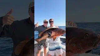 Perfect day with High Tides Fishing in beautiful Puerto Vallarta. #fishing #puertovallarta