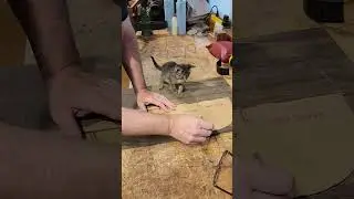 Kitten and I creating a classical guitar