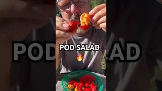 TGG - Pod Salad - Mix Super Hot Peppers grower @jacobdeathridge2024